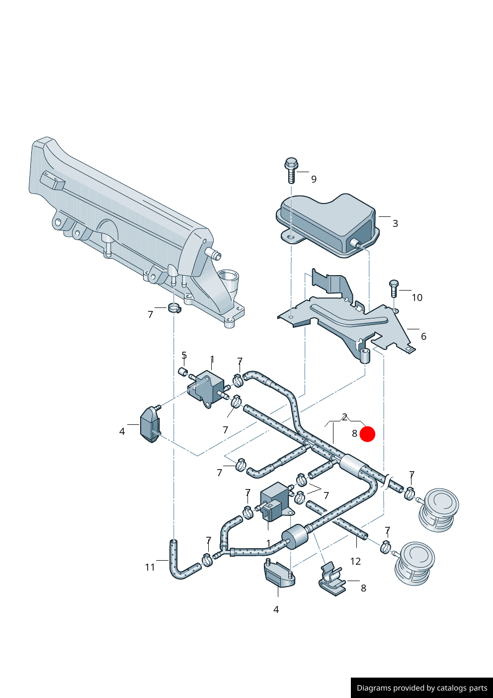 Furtun vacuum OEM Volkswagen Beetle 1C/1Y (1999-2010)